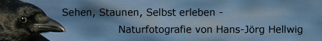 Naturfotos von Hans-Jörg Hellwig