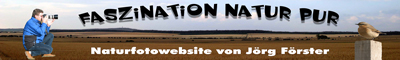 Faszination-Natur-Pur Jörg Förster
