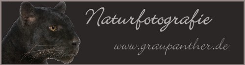 Naturfotografie von Kerstin Hollfelder