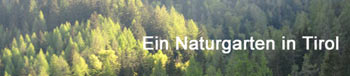Ein Naturgarten in Tirol von Angie Opitz von Angie Opitz
